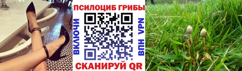 Галлюциногенные грибы Magic Shrooms  купить наркоту  Новое Девяткино 